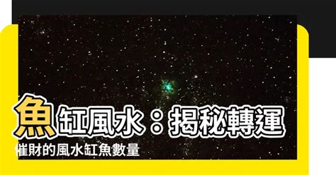 風水缸魚數量|風水魚缸怎麼擺？這些要點記下來旺財又旺運